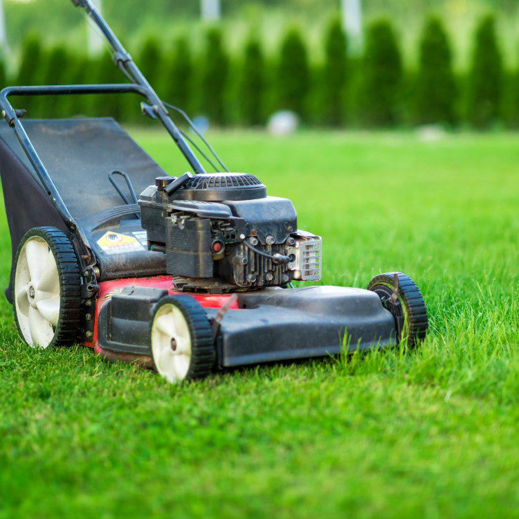 Lawn Care in Pensacola, FL
