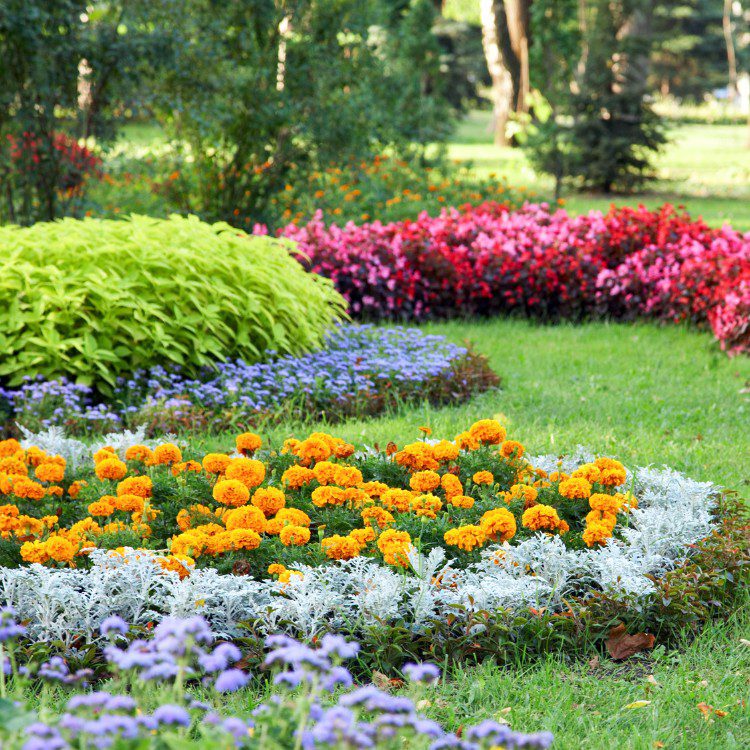 Lawn Care in Pensacola, FL