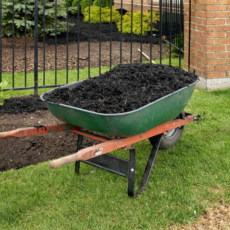 Lawn Care in Pensacola, FL