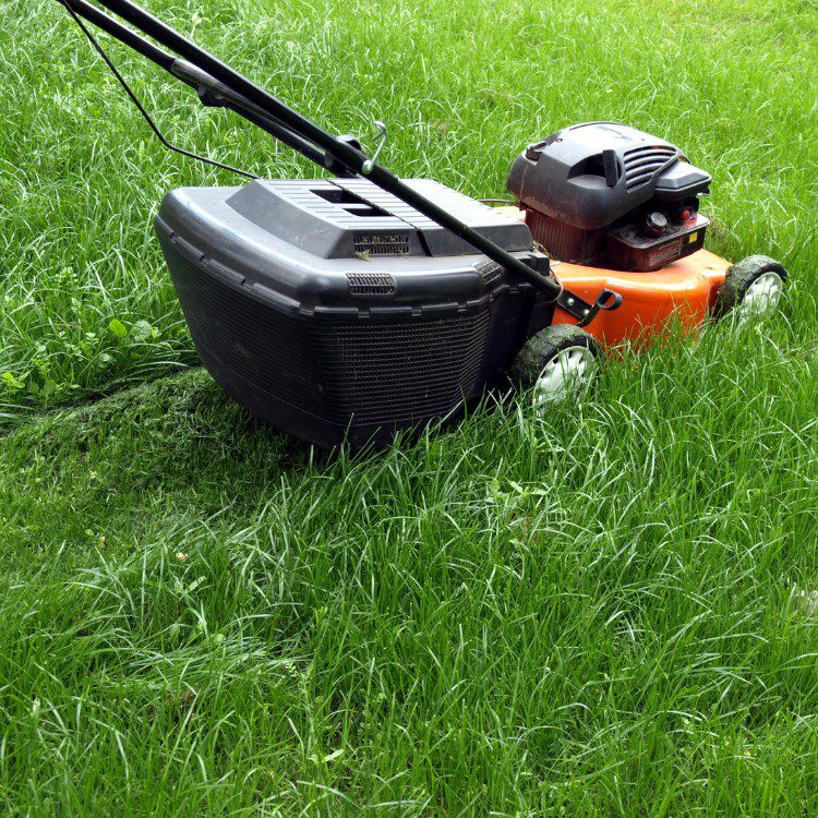 Lawn Care in Pensacola, FL