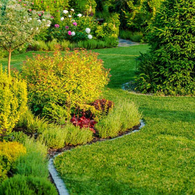 Lawn Care in Pensacola, FL