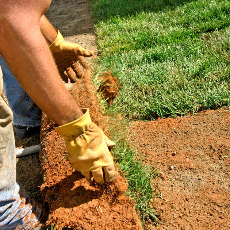 Lawn Care in Pensacola, FL