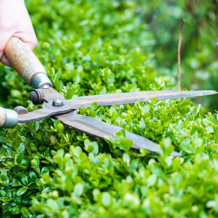 Lawn Care in Pensacola, FL