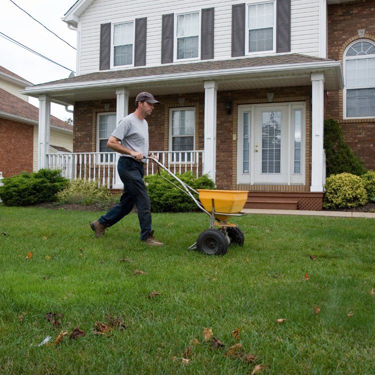 Lawn Care in Pensacola, FL