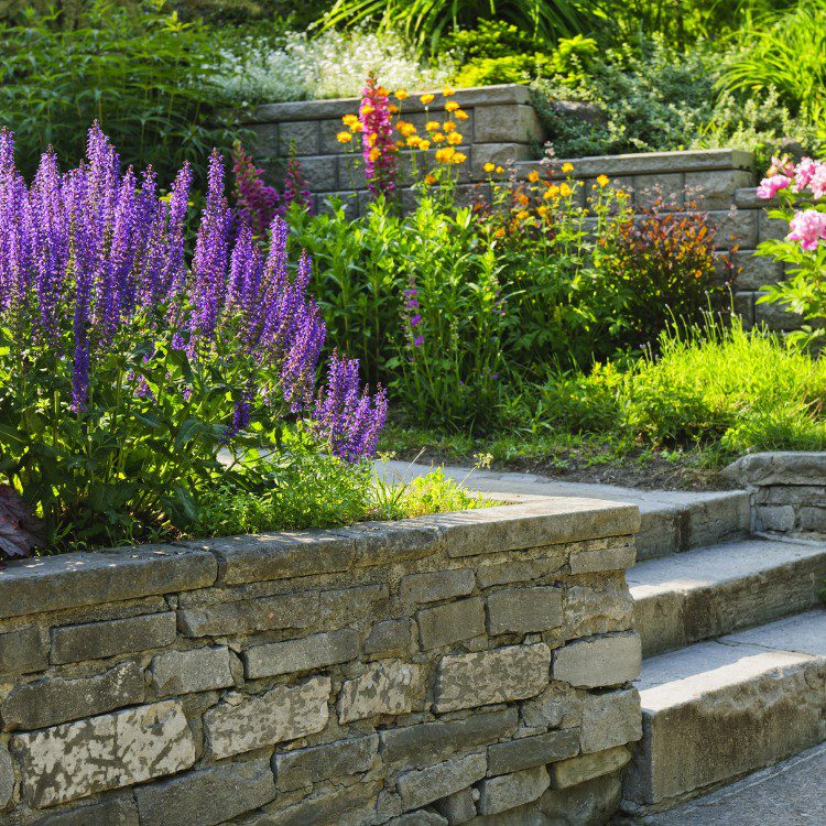 Lawn Care in Pensacola, FL