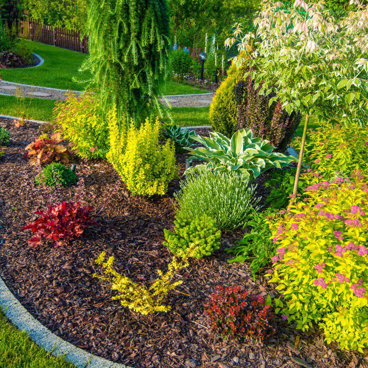 Lawn Care in Pensacola, FL