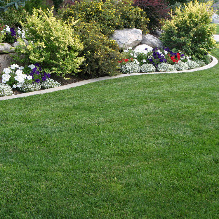 Lawn Care in Pensacola, FL