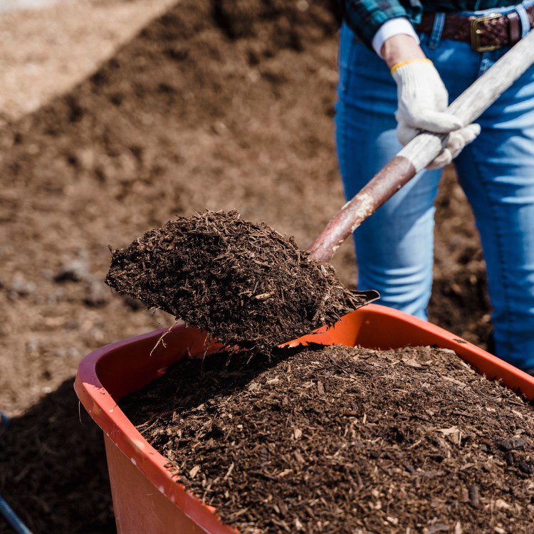 Lawn Care in Pensacola, FL